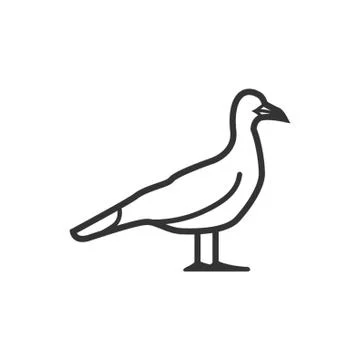 Seagull Stock-Illustration