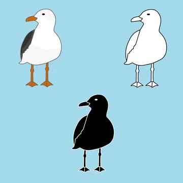 Seagull Stock Illustration