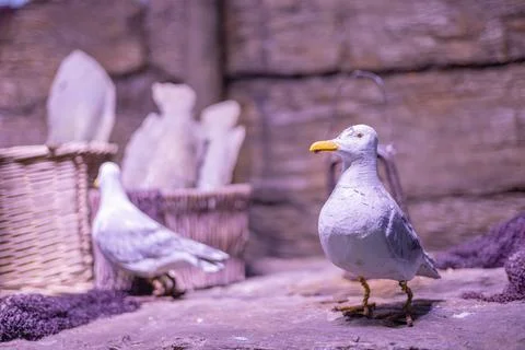 Seagull installation in the port Foto stock