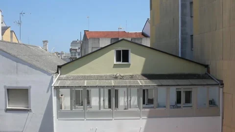 A seagull with its chicks on a sunny rooftop Stock Footage 313164751