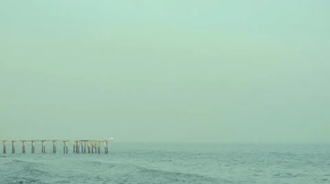Seagull on Jetty - Slow Motion Stock Footage 39860451
