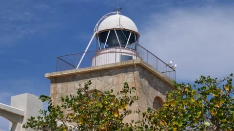 A seagull lands on the railing at the top of the white Tabarca lighthouse. Stock Footage 152856450