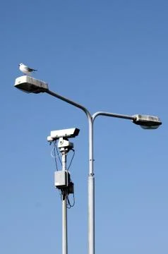 Seagull on a lantern Stock Photos
