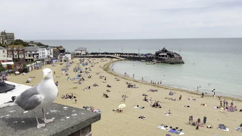 Seagull Looking Over At Broadstairs Beach Video stock 240311164