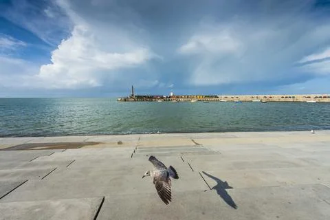 A seagull in Margate Stock Photos