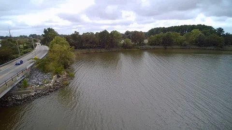 Seagull meeting Stock Footage 114889005