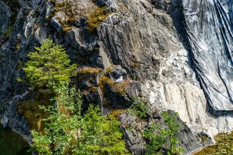 Seagull Nesting on Rocky Cliffside Stock Photos