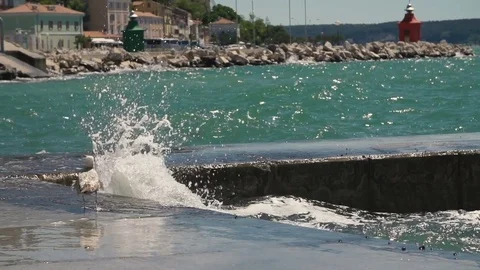 Seagull observing the high waves. Slow motion. High definition video Stock Footage 79530765