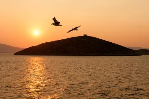 Seagull over the Aegean 22 Stock Photos