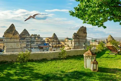 Seagull over caves Stock Photos