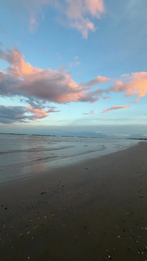 Seagull Over the Sea at Sunset Stock Footage 327681301