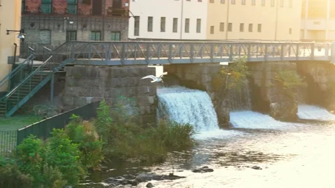 Seagull over Tullhusbron bridge during sunset, Steel Construction Award. Stock Footage 219170810