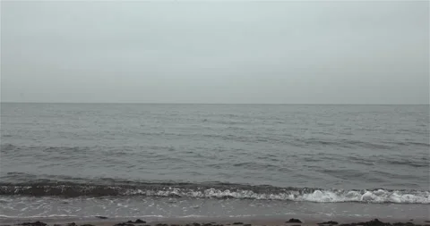 Seagull passing over waves crashing on the shore Stock Footage 297580147