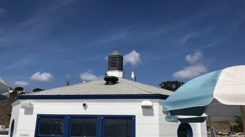 Seagull Perched on Top of Nautical Beach Building/Restaurant - Focus Shift Vídeo Stock 104715876