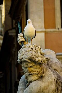 Seagull perching on the bridge wall Stock-Fotos