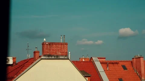 Seagull perching on rooftop chimney overlooking cityscape Stock Footage 312208969