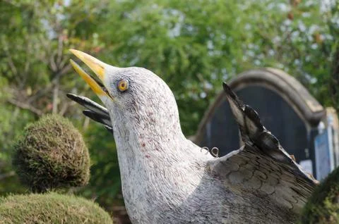 Seagull Stockfoto's