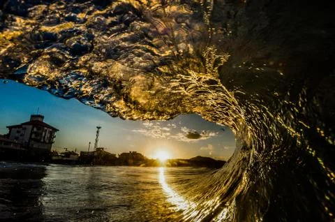 Seagull Stock Photos