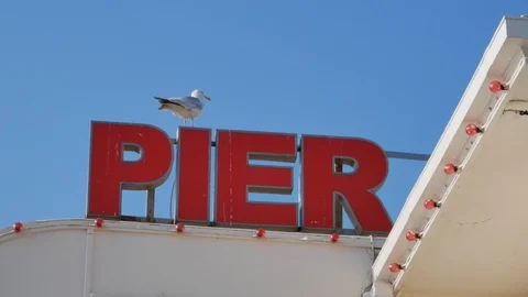 Seagull on Pier Sign Video stock 94827647