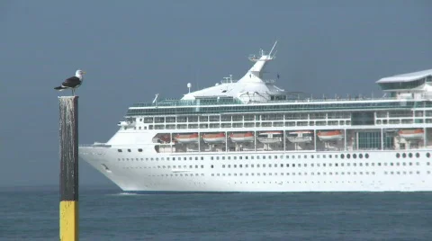 Seagull on pole frames cruise ship side on Stock Footage 321557
