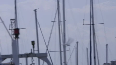 Seagull in the port Stock Footage 90086065