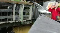 Seagull On Railing Takes Flight HD Footage