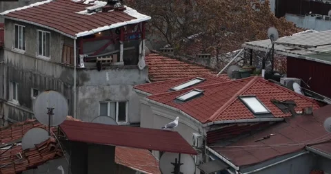 Seagull on red-tiled Istanbul rooftops with skylights and dishes Stock Footage 320172209