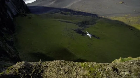 The seagull resists wind currents and tries to sit on a sheer mountain. View of Stock Footage 130453788