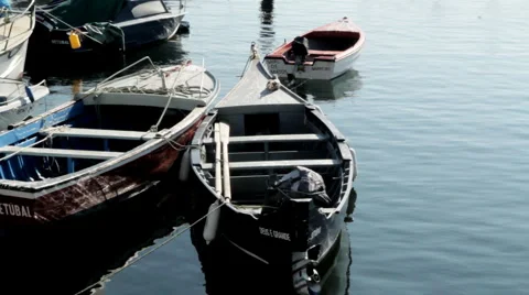 Seagull rests on boat Stock Footage 1060836