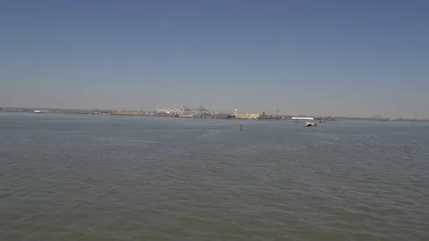 SEAGULL ON THE SEA SLOW MOTION NY Video stock 87204374