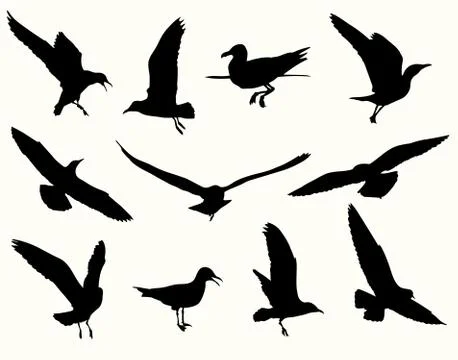 Seagull silhouette collection Stock Illustration