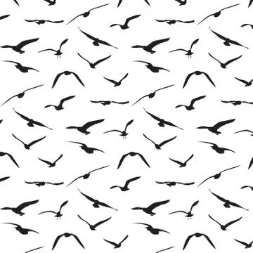 Seagull silhouette pattern background - Vector Stock Illustration
