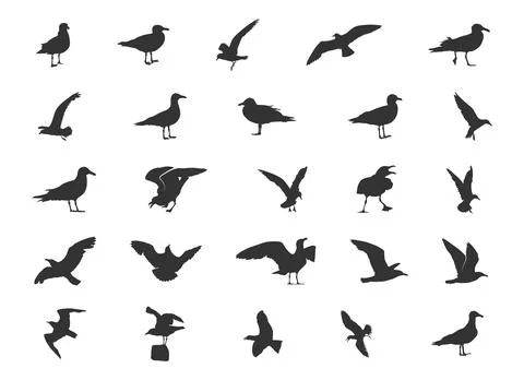 Seagull Silhouettes Stock Illustration