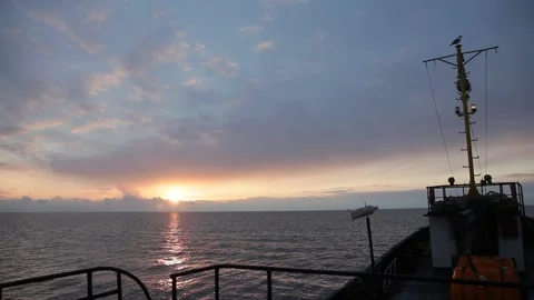 Seagull sitting on mast. sunset. ship silhouette. 20160131090638 124 5 Video stock 130356543