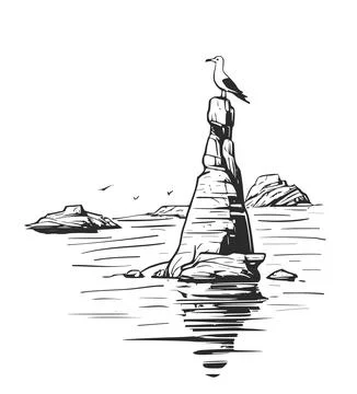 Seagull sitting on a rock. Stock Illustration
