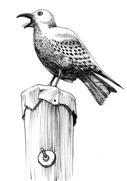 Seagull sketch Illustrazione stock