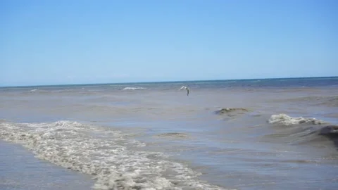 A seagull soars over the raging sea, flies against a strong wind. Video stock 135536265