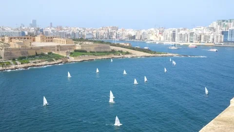 Seagull soars over a sailing regatta fort manoel and sliema skyline forming a Stock Footage 341805420