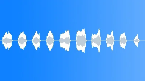 Seagull Sound Effect