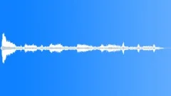 Seagull squawking Sound Effect