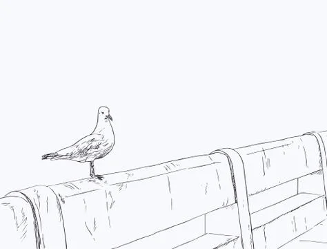 Seagull standing on a concrete bridge . Stock Illustration
