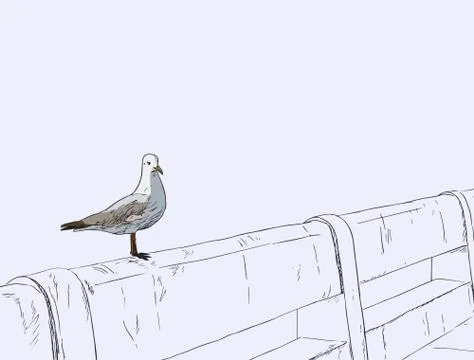 Seagull standing on a concrete bridge . Stock Illustration