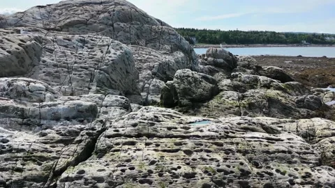 Seagull Standing on a Weathered Rock as Drone Flies Toward the Quebec Coast 스톡 동영상 345452789