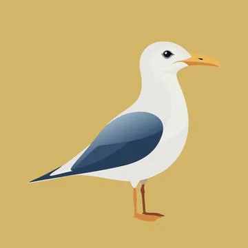 A seagull is standing on a yellow background Stock Illustration