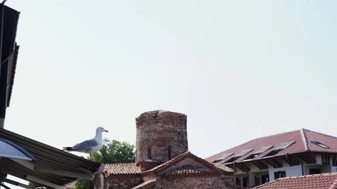 A seagull stands on a rooftop ledge with a backdrop of  red-brick architecture Stock Footage 315443688
