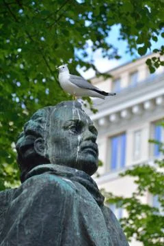 Seagull on the statue Stock Photos
