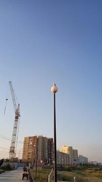 Seagull on a streetlamp Stock Photos