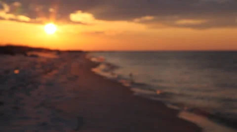 Seagull at Sunset Stock Footage 36840195