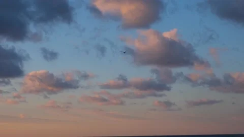 Seagull sunset sky. Stock Footage 180886711