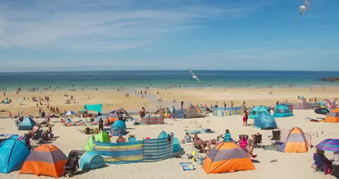 Seagull Swoops Down to Annoy Male Tourist Sitting Sunbathing on Porthmeor Beach Stock Footage 203851353